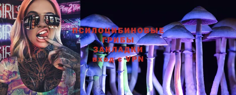 Галлюциногенные грибы MAGIC MUSHROOMS  купить   маркетплейс телеграм  Кремёнки 